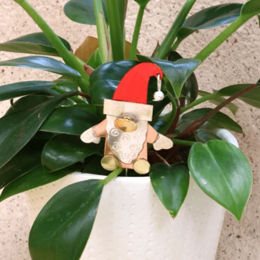 Christmas Plant Pals 12, Santa Gnome