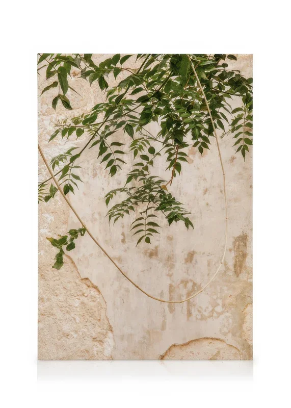 Concrete Leaves Canvas print