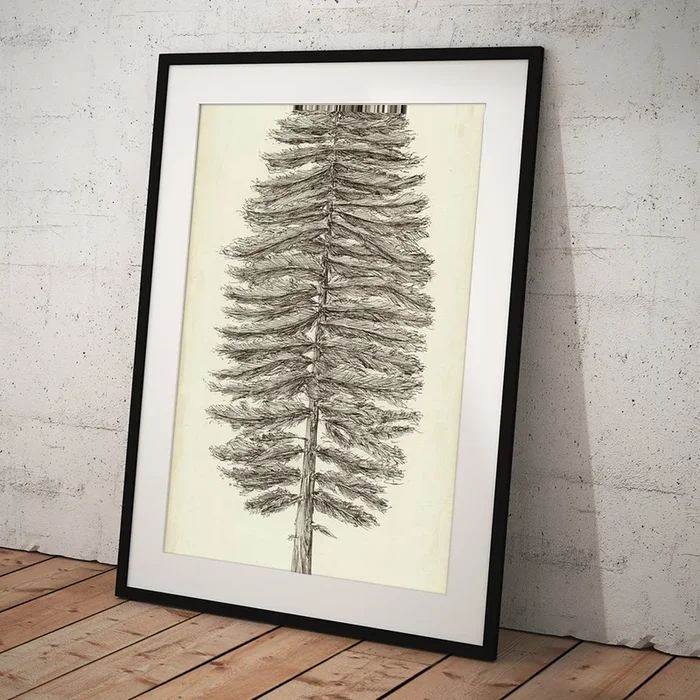 Pacific Northwest Tree Sketch II Art Print