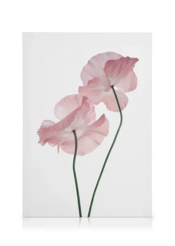 Pink Poppies Canvas print