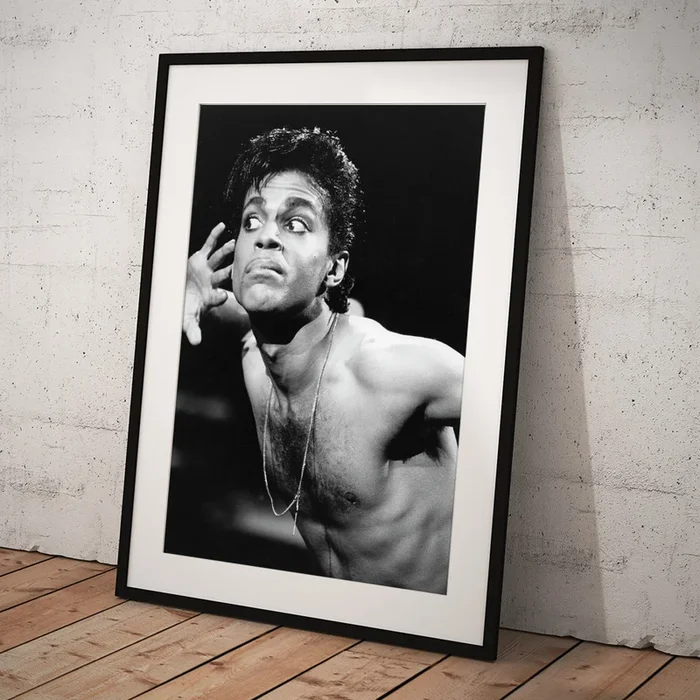 Prince At The Wiltern Theatre Art Print