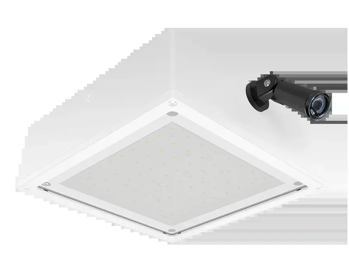RAB VanLED 20W 5000K Flat Frosted Lens 277V Swivel Photocell White (VANLED20FFRW/PCS2)