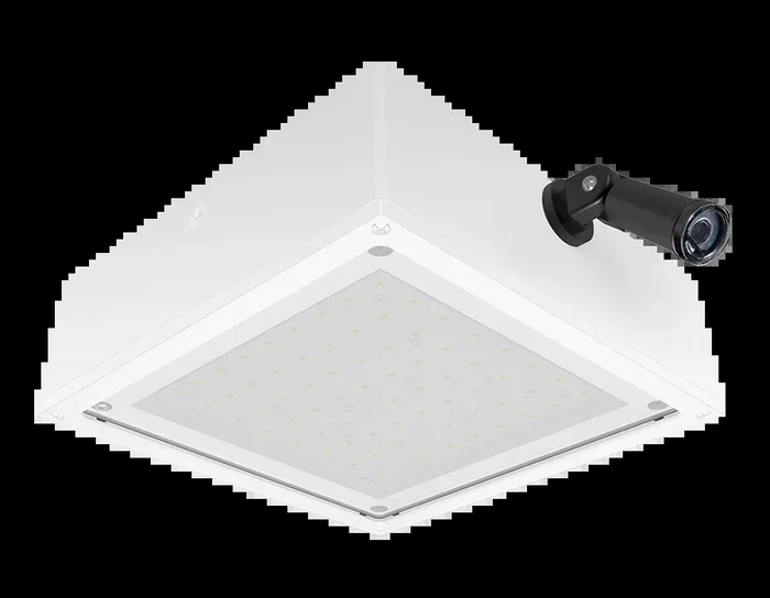 RAB VanLED 65W 3000K Flat Frosted Lens 277V Swivel Photocell White (VANLED65YFFRW/PCS2)