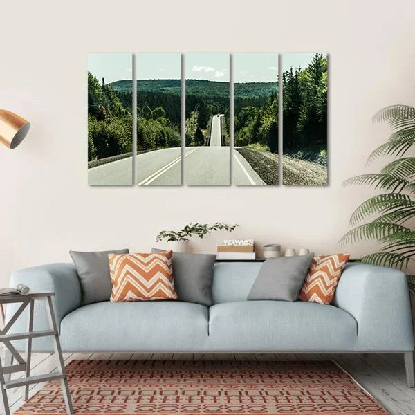 Road Through Algonquin Provincial Park Canvas Wall Art