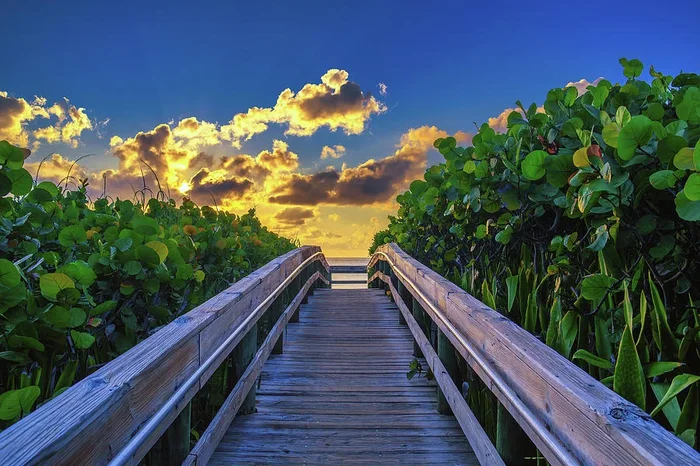 Sunrise Path Singer Island Palm Beach Inlet Journey Through Coas