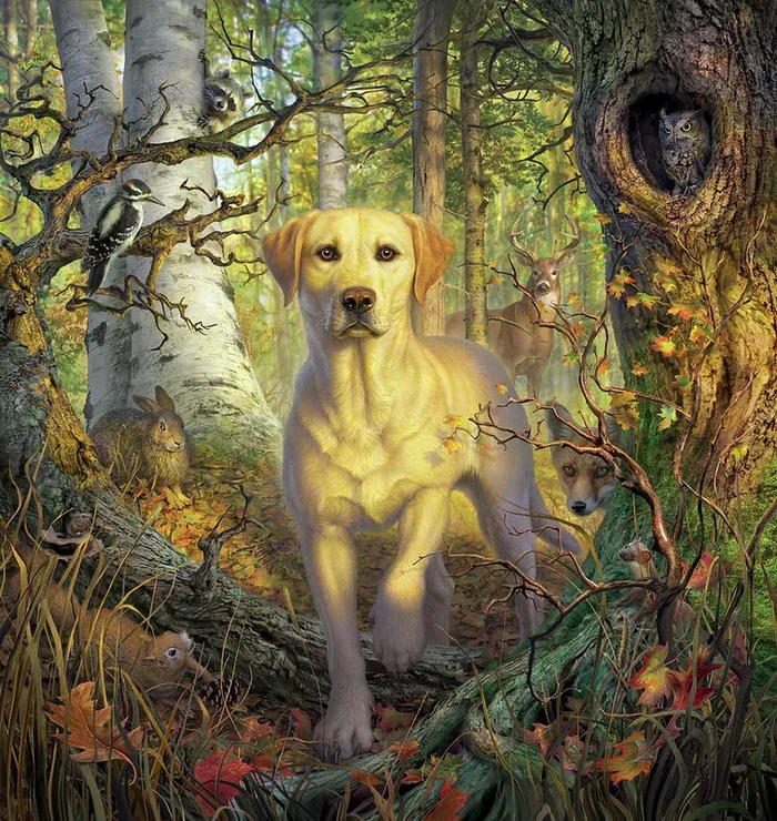 Yellow Lab in Fall