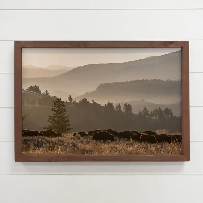 Yellowstone Bison Herd – Framed Wildlife Photograph – Ranch