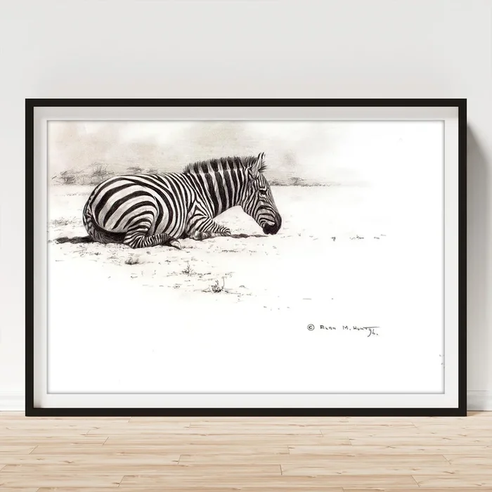 Zebra Sketch Art Print