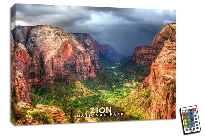 Zion 18×24 Fully Illuminated LED Wall Art