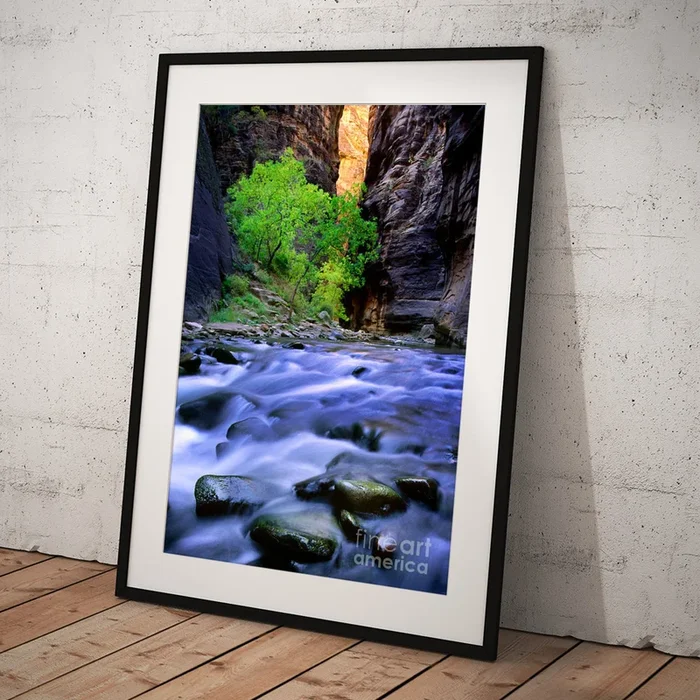 Zion Narrows Art Print